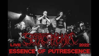 Septicopyemia - Essence of Putrescence (coyote brutal fest 2022)