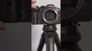 The Difference is Incredible! Canon R7 vs R8