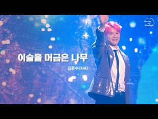 🎆 231231 김준수 (XIA) - 이슬을 머금은 나무 🌳💧 |  XIA 2023 CONCERT Chapter 1 : Recreation ✨️