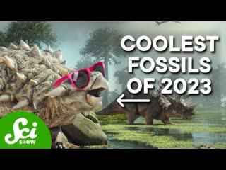 These Are The Coolest Fossils From 2023