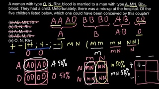 ABO, MN, RH+/- blood groups explained