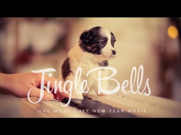 Jingle Bells українською (the most cute New Year movie) Шпилясті кобзарі ( Ukraine,