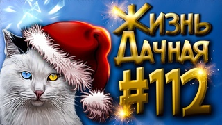 Жизнь Дачная #112. Драный оправдывает свое имя