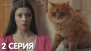 Котострофа 2 серия обзор