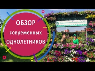 ОБЗОР современных однолетников в Егорьевском тепличном комбинате.
