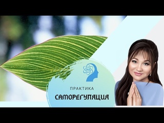 Надежда Бабаева - Саморегуляция