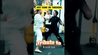 Tribute to bruce lee #kungfu #brucelee #karate #kungfustyle #boxing #martialarts #martialart #kungfu
