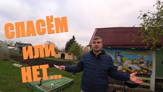 ВОЗРОЖДАЕМ ЗАБЫТЫЙ КАНАЛ. ПРИВЕТ ОТ ОДИССЕИ КАШЕВАРА