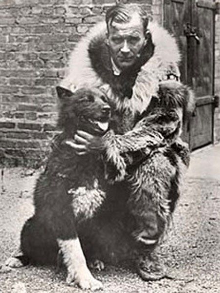 Собака-герой Балто В начале 1925 года дифтерия, страшная болезнь, поражающая детей, разгорелась в поселении Ном. Необходима была вакцина, притом всем прилегавшим больницам. Связавшись по