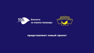 Проект Вуокса без сетей - 2021