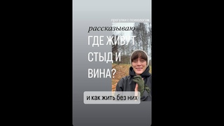 Практические упражнения от вины и стыда ПРОГУЛКИ С ПСИХОЛОГОМ