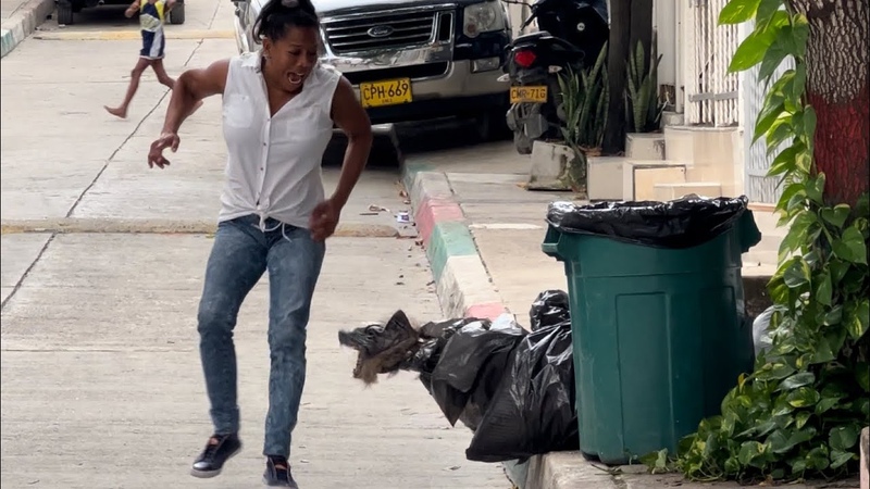 FIRULAIS EL PERRO ATREVIDO PARTE 2 BROMA, Yo Soy Joel