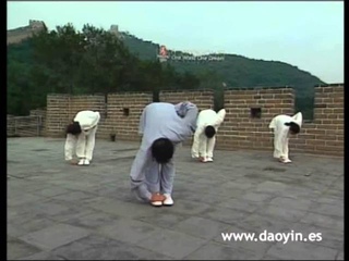 DAOYIN SHI ER FA