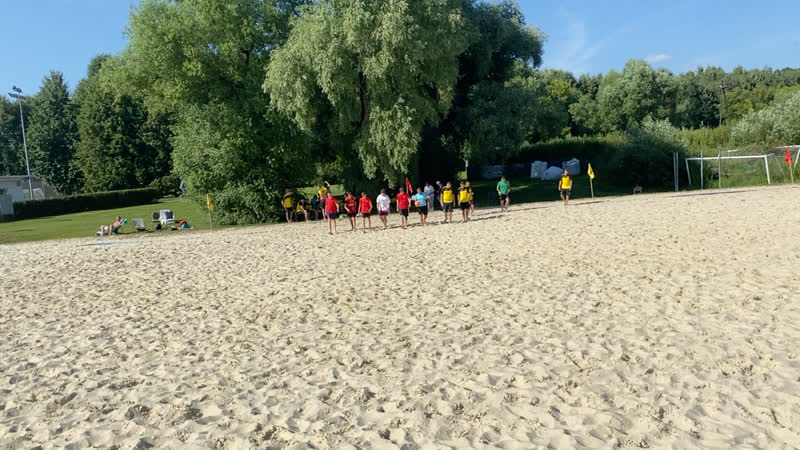 Пантеры