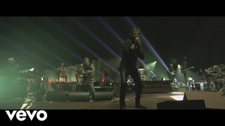 Alligators 427 (40 ans de chansons sur scne  l'AccorHotels Arena 2018)