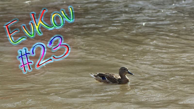 E Vlog, 23,