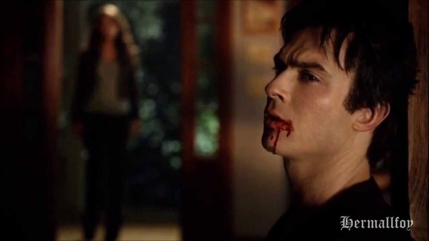 Damon and Elena, , Echo