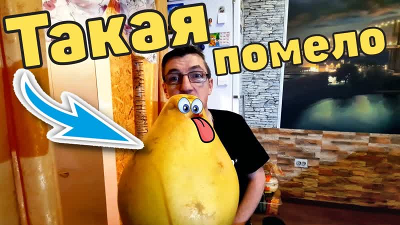 ОГРОМНАЯ ПОМЕЛО 1000 РЭ из АШАНА Нашли внутри