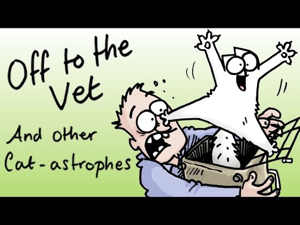 The Making of Off to the Vet and Other Cat astrophes Book OUT