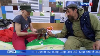 Спасенный лисенок стал обитателем смоленского приюта «Верность»