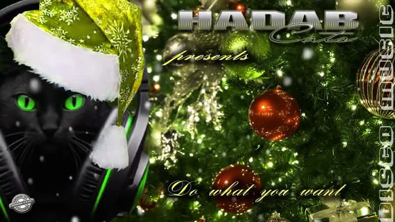Hadab Cats Do what you