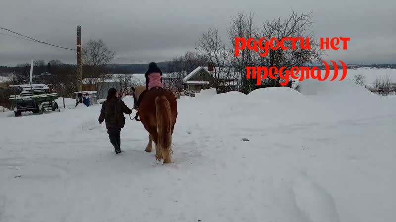 Первое знакомство с Лошадкой. Конный клуб Красная Горка