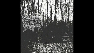 Evilness Darkness : Old Forgotten House (Single)