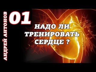 Надо ли тренировать сердце ?