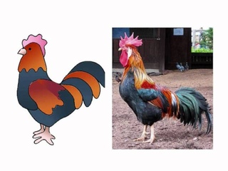 j’apprends les animaux pour de vrai et avec leurs