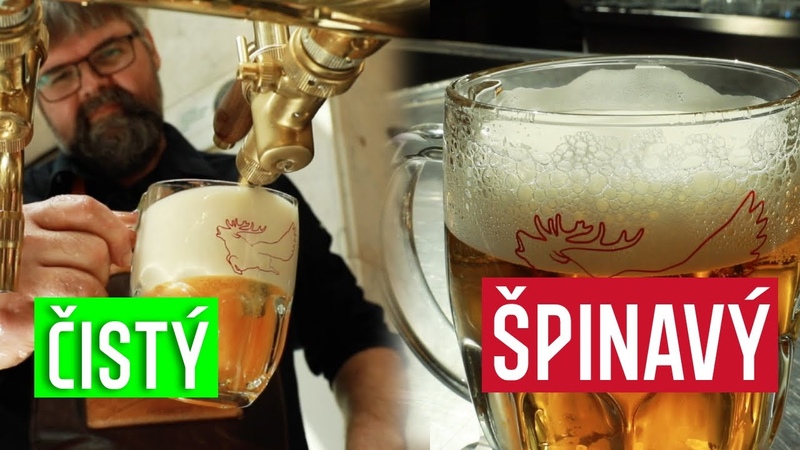 Jak poznáte špinavý půllitr Dávaj si řezaný jen turisti Škola čepování s
