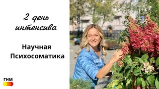 Второй день интенсива по НСП