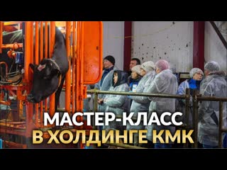 Оценка хромоты КРС и обучение персонала на МАСТЕР-КЛАССЕ в Кирове