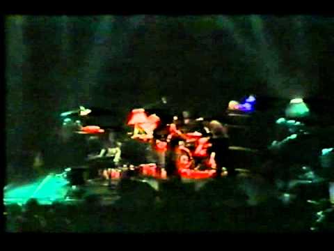 Swans I