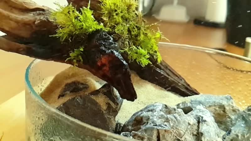How To Make A Jar Vase Paludarium Blue