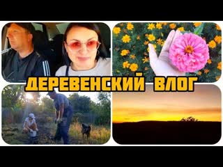 ВСЕ УЖЕ ВЫКОПАЛИ  А МЫ КАК ВСЕГДА ПОСЛЕДНИЕ  ВЕРНУЛИСЬ СПУСТЯ ТРИ НЕДЕЛИ, ЧТО НА ОГОРОДЕ