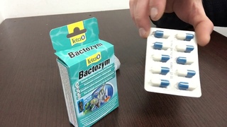 Средство для аквариума Tetra Bactozym 10 капсул,для быстрого запуска аквариума