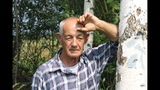 Трудоголик (крестьянская жизнь)