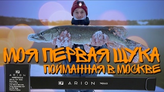 CF ARION ASRE742ULS | ПЕРВЫЕ ВПЕЧАТЛЕНИЯ И СРАЗУ ТРОФЕЙ!