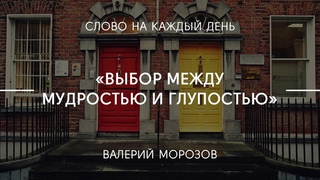 Выбор между мудростью и глупостью | Валерий Морозов