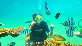 NGẮM SAN HÔ - NGẮM CÁ TUNG TĂNG BƠI LỘI TẠI LIBERA NHA TRANG VIỆT NAM