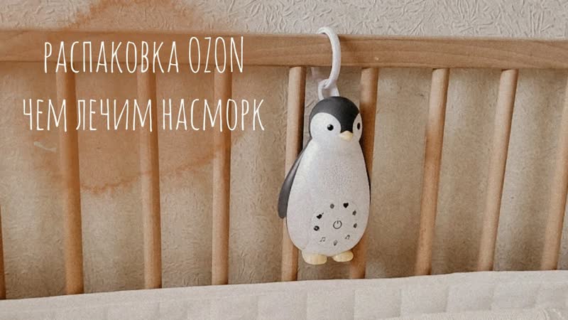 VLOG, Распаковка заказа OZON, Обзор на пингвина ZAZU Зои,