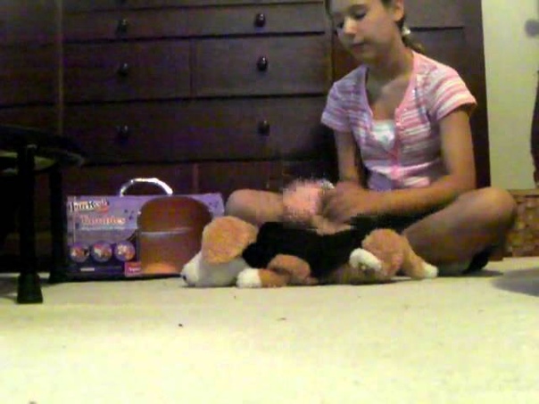 Tumbles My Roll Over Pup