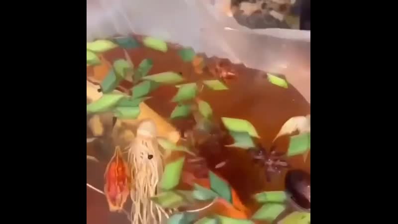 Необычная