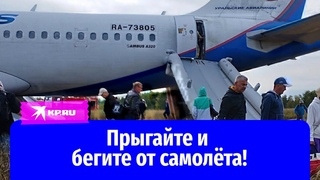 Экипаж рейса U6-1383, посадивший лайнер посреди поля: Прыгайте и бегите от самолёта!