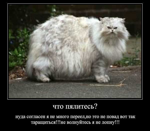 №109, Алена Биличенко, 53 года, Харьков №109, Алена Биличенко, 53 года, Харьков