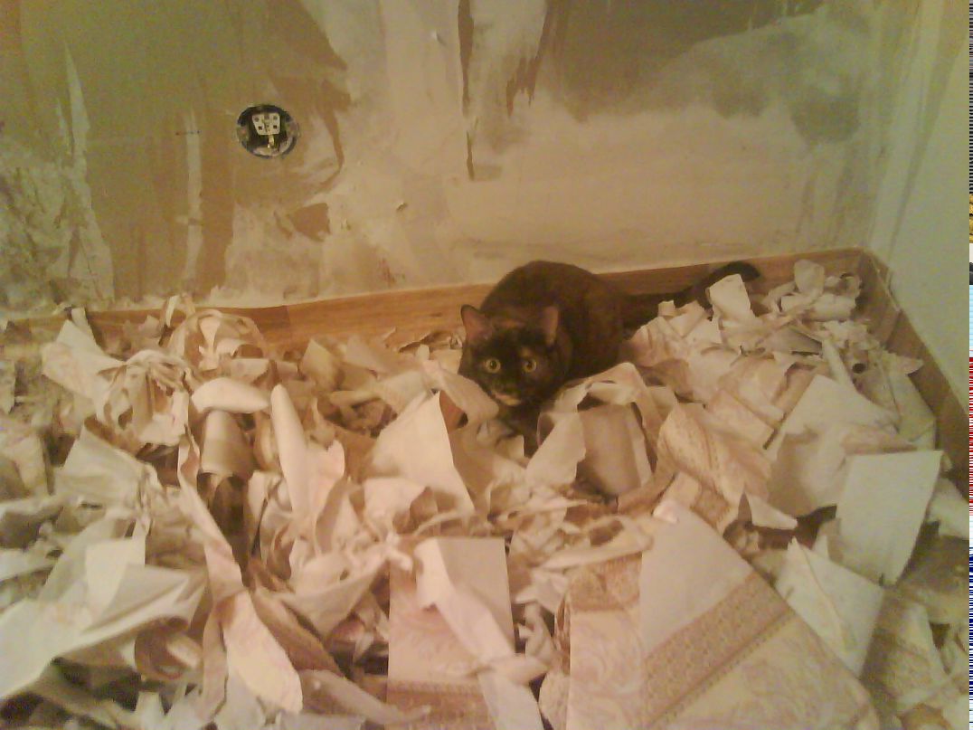 Сергей Алясин | Сосновоборск