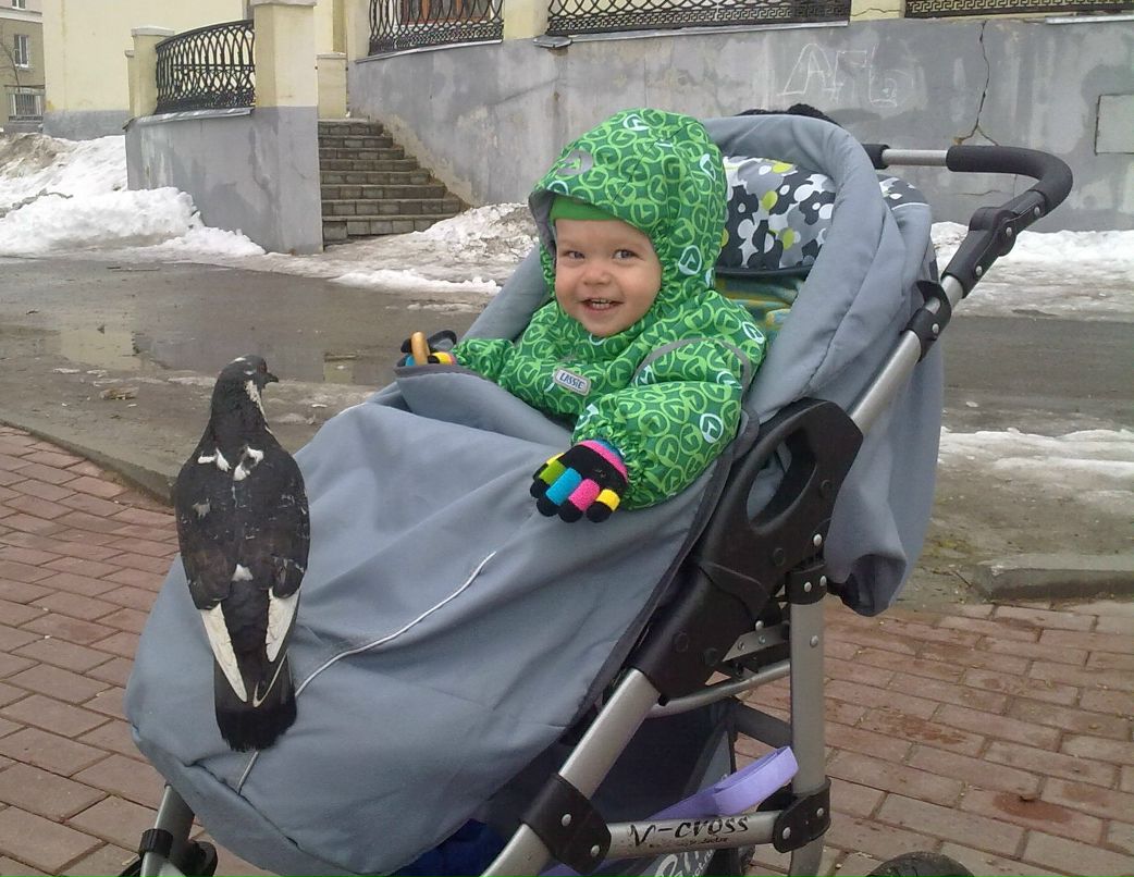 Алёна Кулицкая | Москва