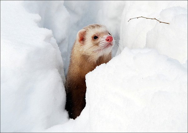 Лилия Файзрахманова Рафаеловна | Казань