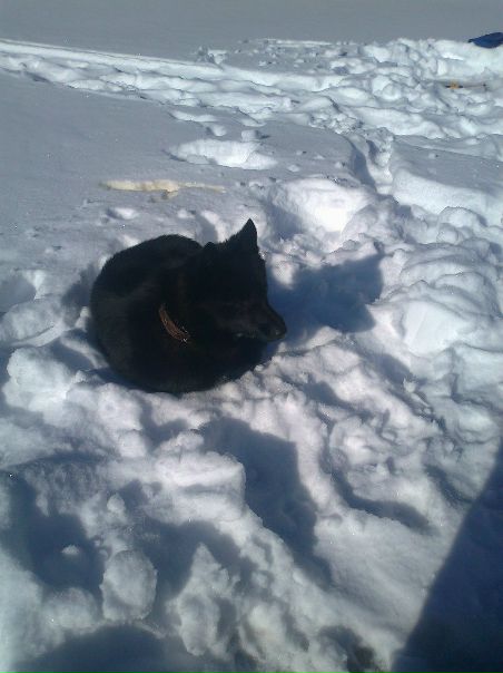 №4, Дмитрий Штукарин, 39 лет, Боброво №4, Дмитрий Штукарин, 39 лет, Боброво