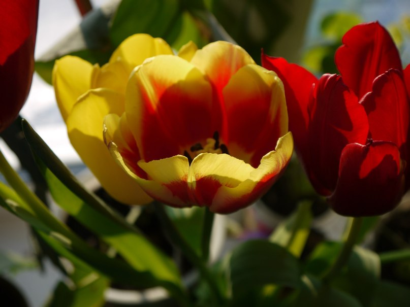 Евгений Евдокимов | Тюмень